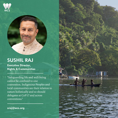 WCS CBD COP17 Quote Cards - Sushil Raj